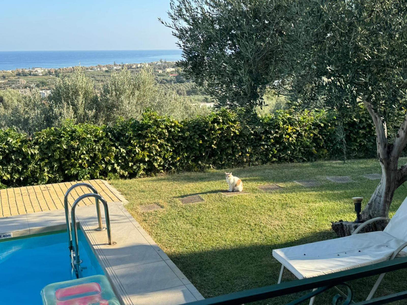Lily'S Cottage Platanias Esterno foto