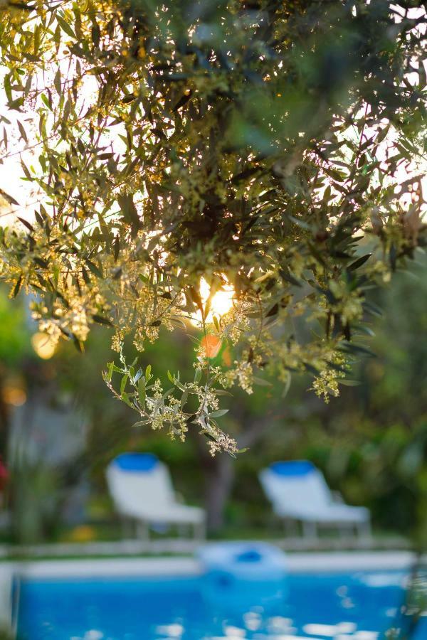 Lily'S Cottage Platanias Esterno foto